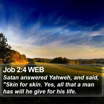 Job 2:4 WEB Bible Verse Image