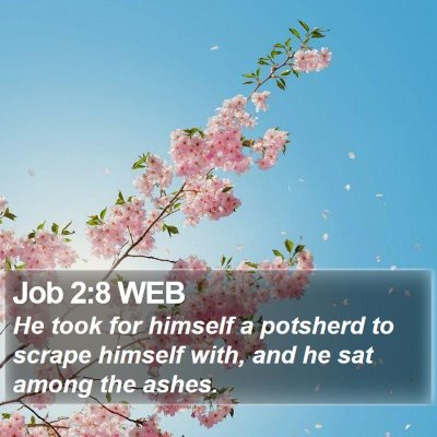 Job 2:8 WEB Bible Verse Image