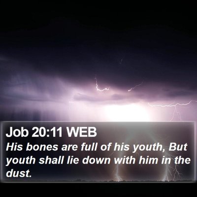 Job 20:11 WEB Bible Verse Image