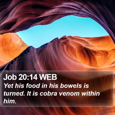 Job 20:14 WEB Bible Verse Image