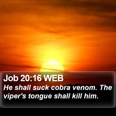 Job 20:16 WEB Bible Verse Image