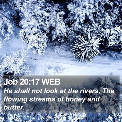 Job 20:17 WEB Bible Verse Image