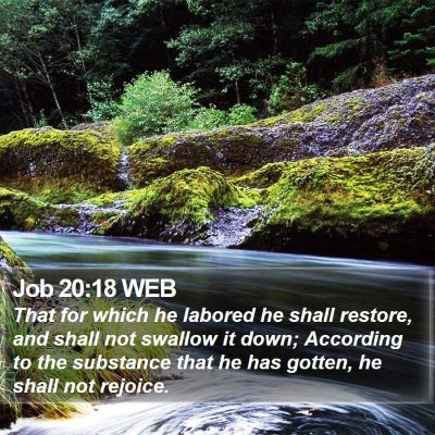 Job 20:18 WEB Bible Verse Image