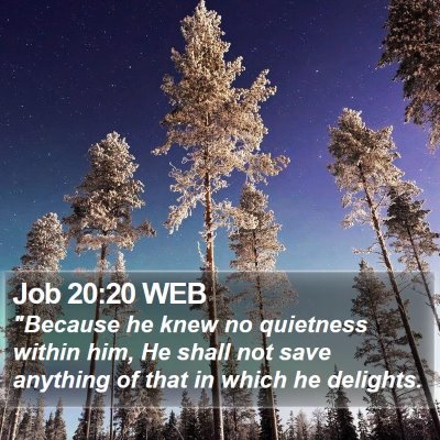 Job 20:20 WEB Bible Verse Image