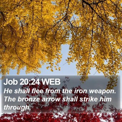 Job 20:24 WEB Bible Verse Image
