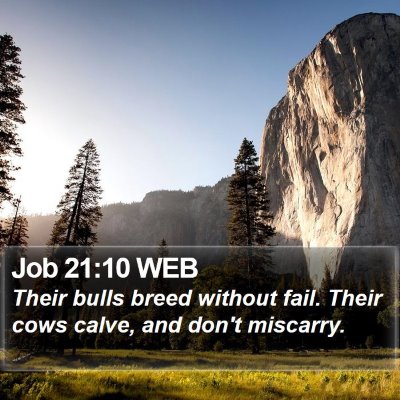 Job 21:10 WEB Bible Verse Image