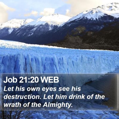 Job 21:20 WEB Bible Verse Image