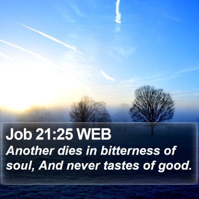 Job 21:25 WEB Bible Verse Image