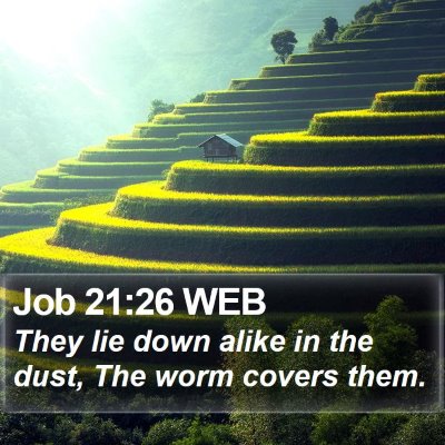 Job 21:26 WEB Bible Verse Image