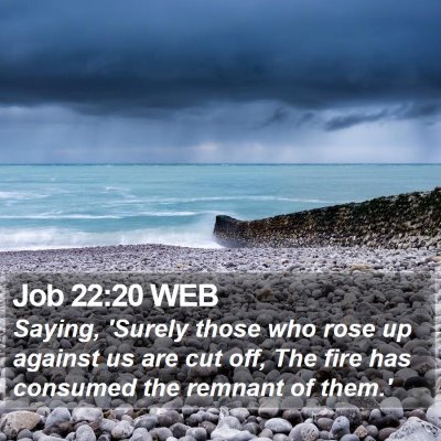 Job 22:20 WEB Bible Verse Image