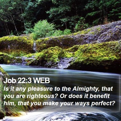 Job 22:3 WEB Bible Verse Image