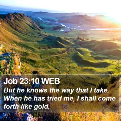 Job 23:10 WEB Bible Verse Image