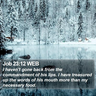 Job 23:12 WEB Bible Verse Image