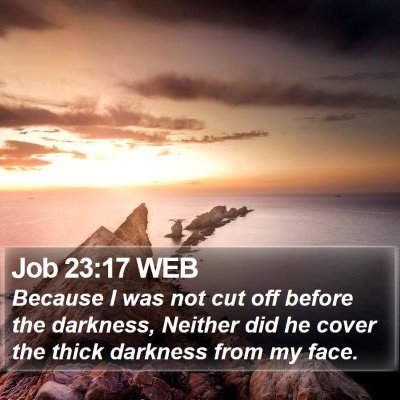 Job 23:17 WEB Bible Verse Image