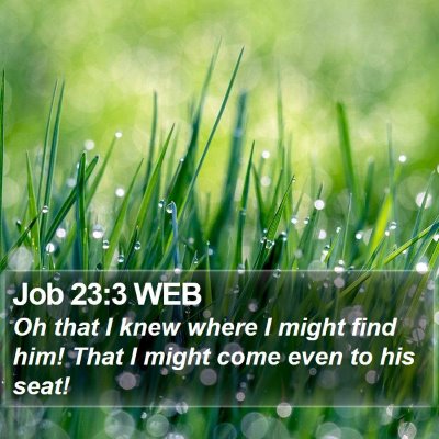 Job 23:3 WEB Bible Verse Image