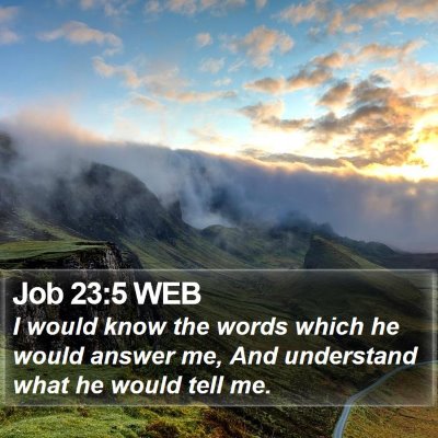 Job 23:5 WEB Bible Verse Image