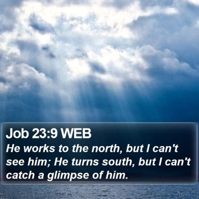 Job 23:9 WEB Bible Verse Image