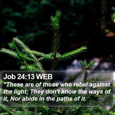 Job 24:13 WEB Bible Verse Image
