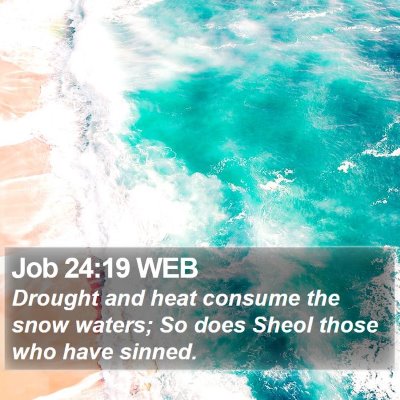 Job 24:19 WEB Bible Verse Image