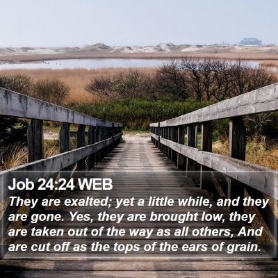 Job 24:24 WEB Bible Verse Image