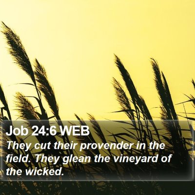 Job 24:6 WEB Bible Verse Image