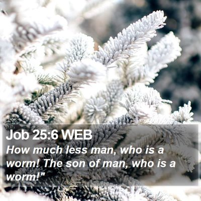 Job 25:6 WEB Bible Verse Image