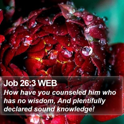 Job 26:3 WEB Bible Verse Image