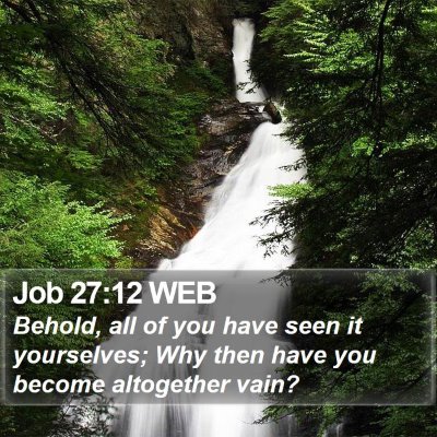 Job 27:12 WEB Bible Verse Image