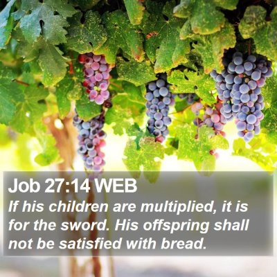 Job 27:14 WEB Bible Verse Image