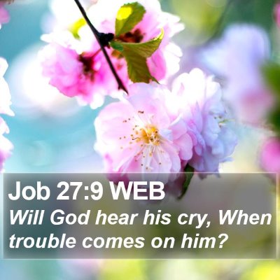 Job 27:9 WEB Bible Verse Image