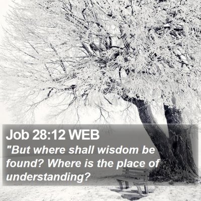Job 28:12 WEB Bible Verse Image