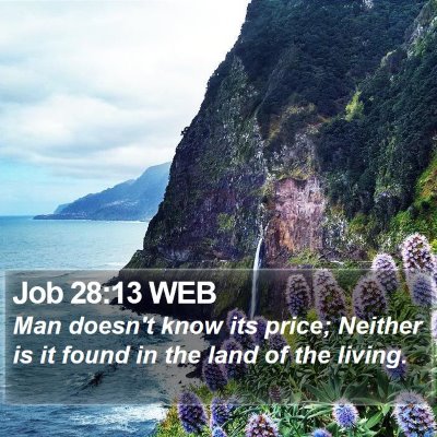 Job 28:13 WEB Bible Verse Image