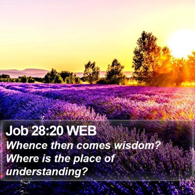 Job 28:20 WEB Bible Verse Image
