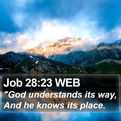 Job 28:23 WEB Bible Verse Image