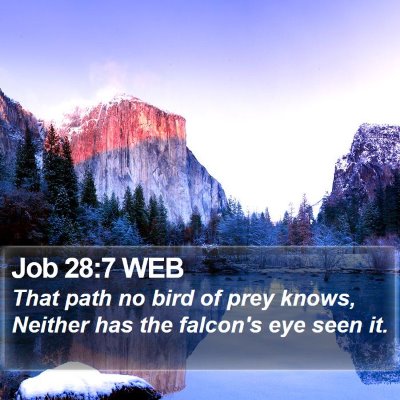 Job 28:7 WEB Bible Verse Image