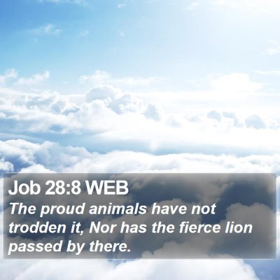 Job 28:8 WEB Bible Verse Image