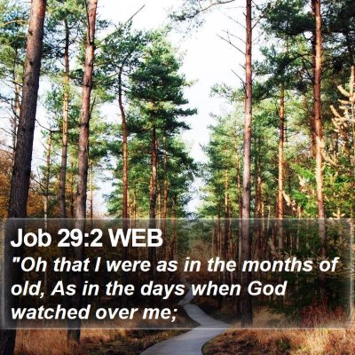 Job 29:2 WEB Bible Verse Image