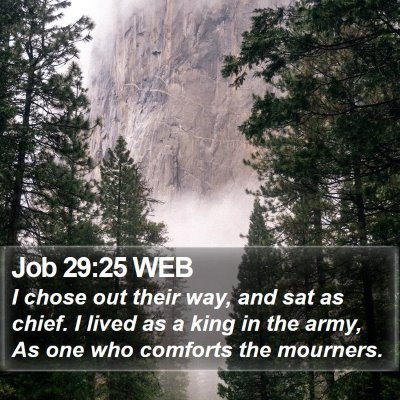 Job 29:25 WEB Bible Verse Image