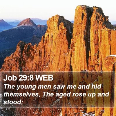 Job 29:8 WEB Bible Verse Image