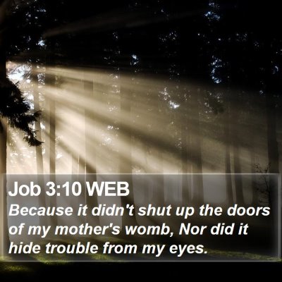 Job 3:10 WEB Bible Verse Image