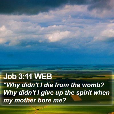 Job 3:11 WEB Bible Verse Image