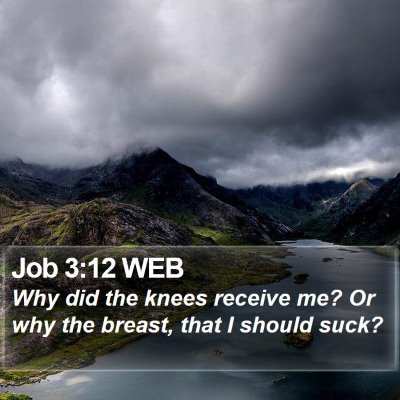Job 3:12 WEB Bible Verse Image