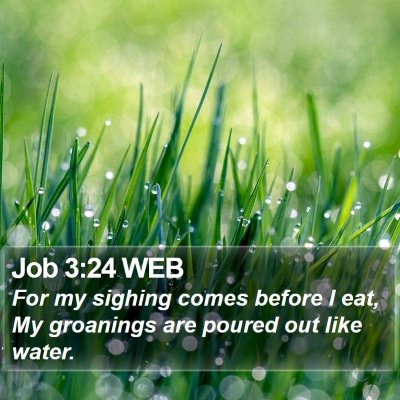 Job 3:24 WEB Bible Verse Image