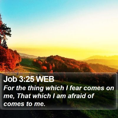 Job 3:25 WEB Bible Verse Image