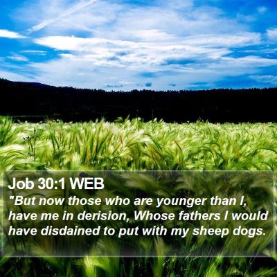 Job 30:1 WEB Bible Verse Image