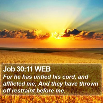 Job 30:11 WEB Bible Verse Image
