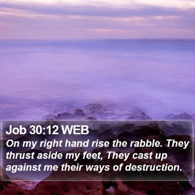 Job 30:12 WEB Bible Verse Image