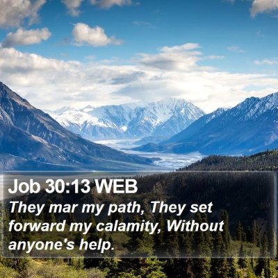 Job 30:13 WEB Bible Verse Image