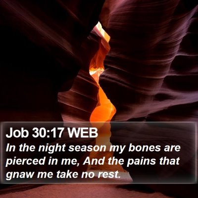 Job 30:17 WEB Bible Verse Image