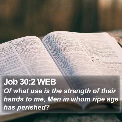 Job 30:2 WEB Bible Verse Image